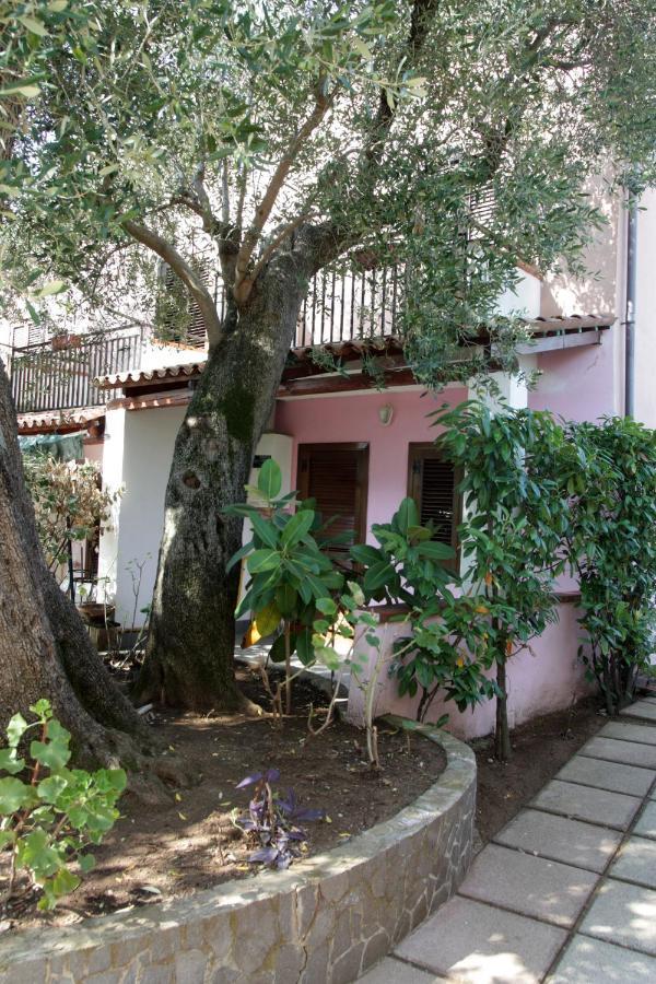 קמרוטה Hotel Santaclara מראה חיצוני תמונה